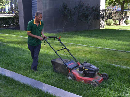 園林養(yǎng)護5