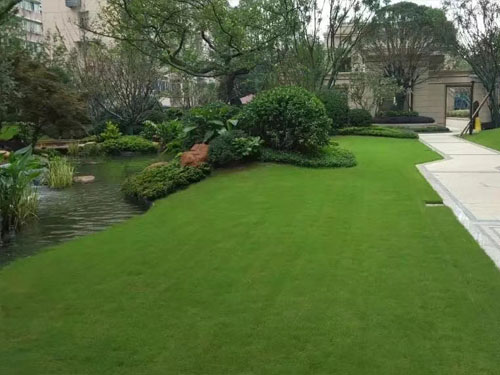 園林綠化工程施工，園林綠化養(yǎng)護，別墅庭院綠化