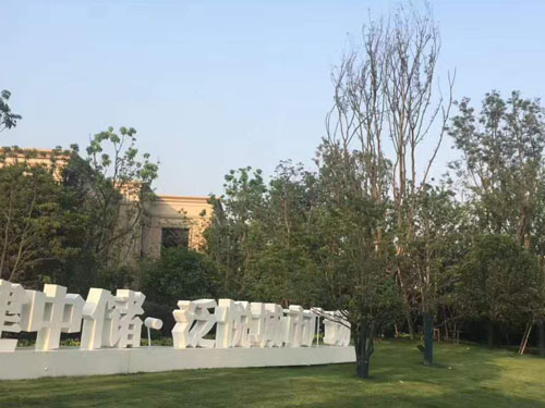 園林綠化工程施工，園林綠化養護，別墅庭院綠化