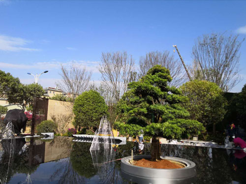 園林綠化工程施工，園林綠化養(yǎng)護(hù)，別墅庭院綠化